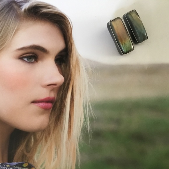 Mercury Orchid Artisan "Light in the Forest" Labradorite Earrings are NWOT!! - Picture 2 of 10